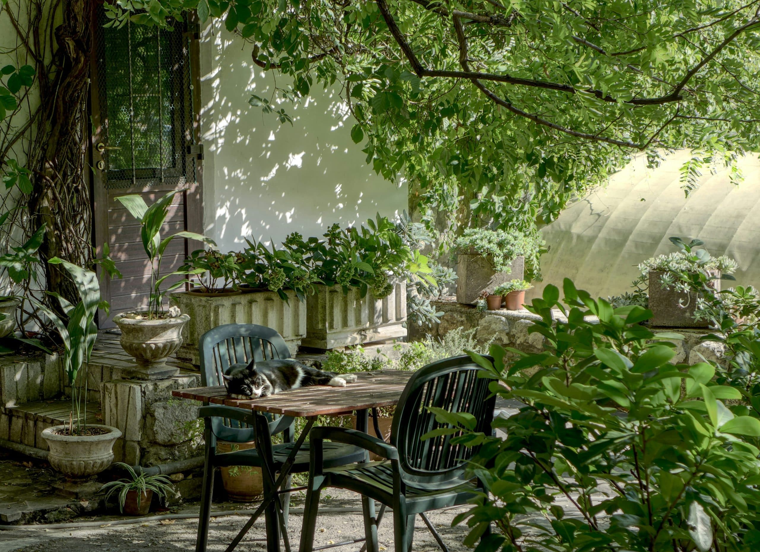 Surélévation de maison : tout ce qu'il faut savoir pour agrandir